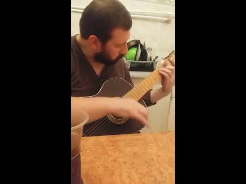 გიტარის შესწავლა-shegaswavlit gitaras